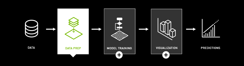 Rapids Workflow Image